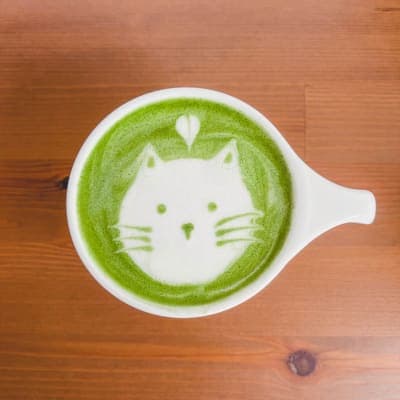 latte_cat