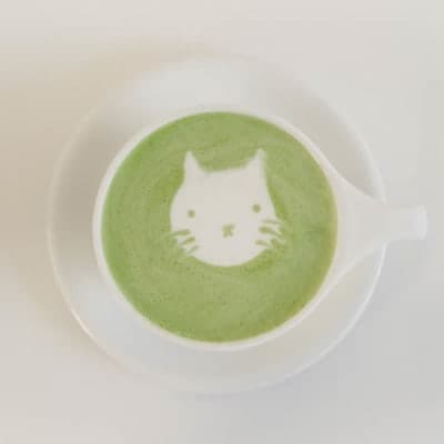 latte_cat