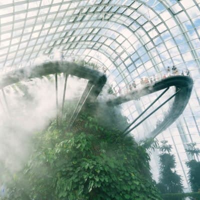 cloud_forest