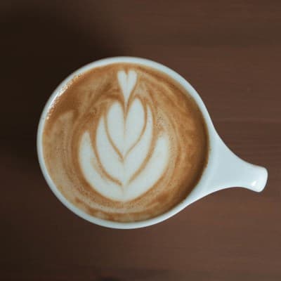latte_tulip