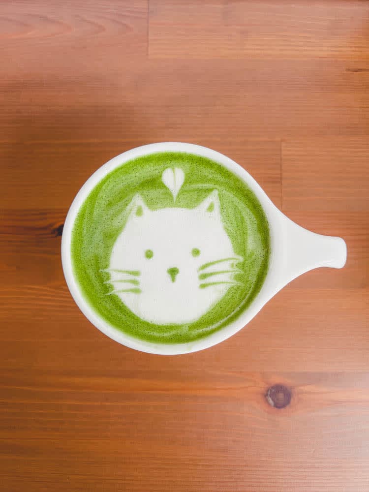 latte_cat