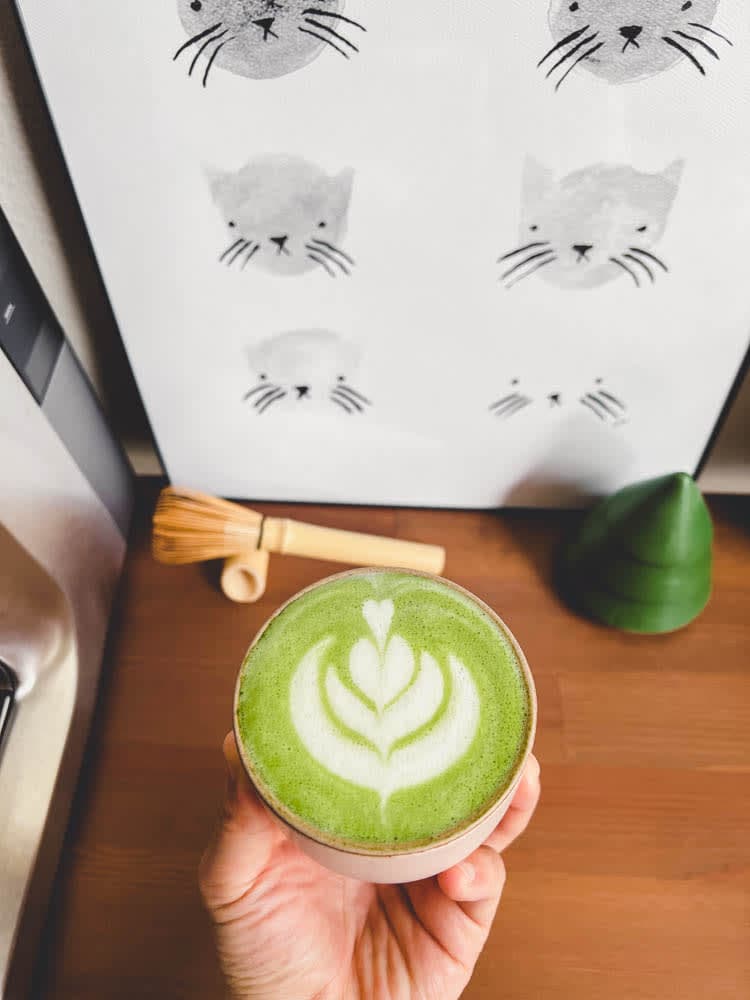 latte_tulip