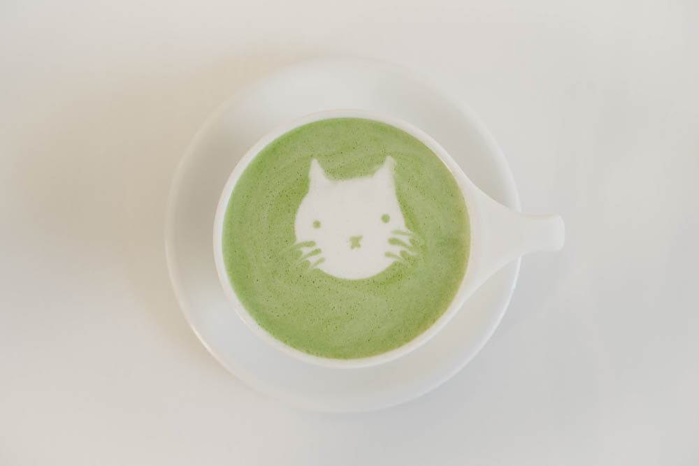 latte_cat