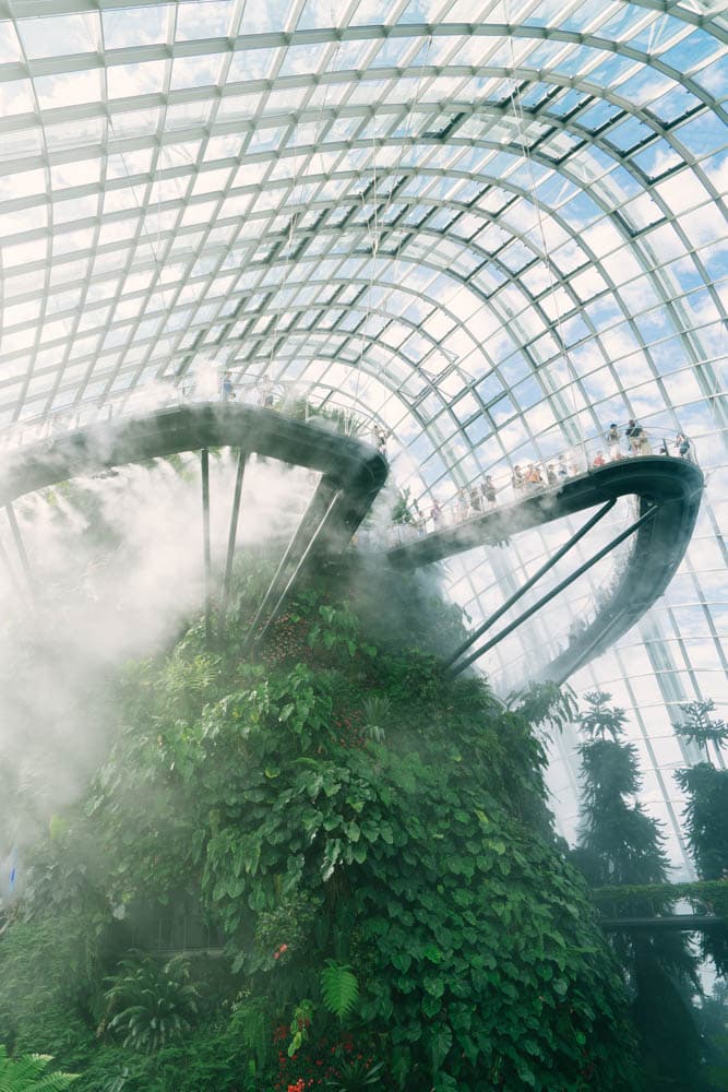 cloud_forest