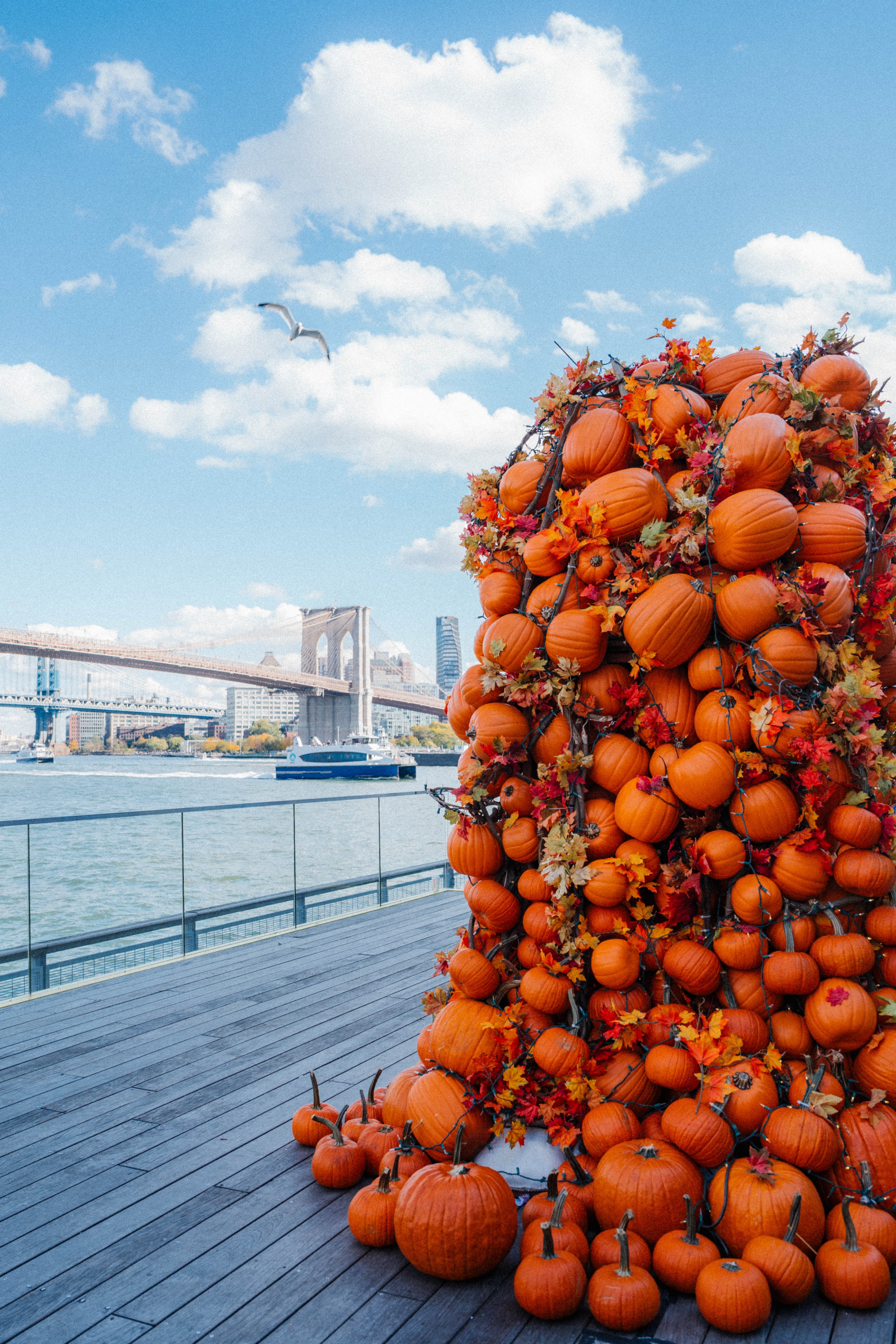 seaport_pumpkin_arch_day
